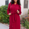 AnneBurgundyButtonUpDress.png Anne Burgundy Button Up Dress