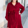 AnneBurgundyButtonUpDress_DSC1802.jpg Anne Burgundy Button Up Dress