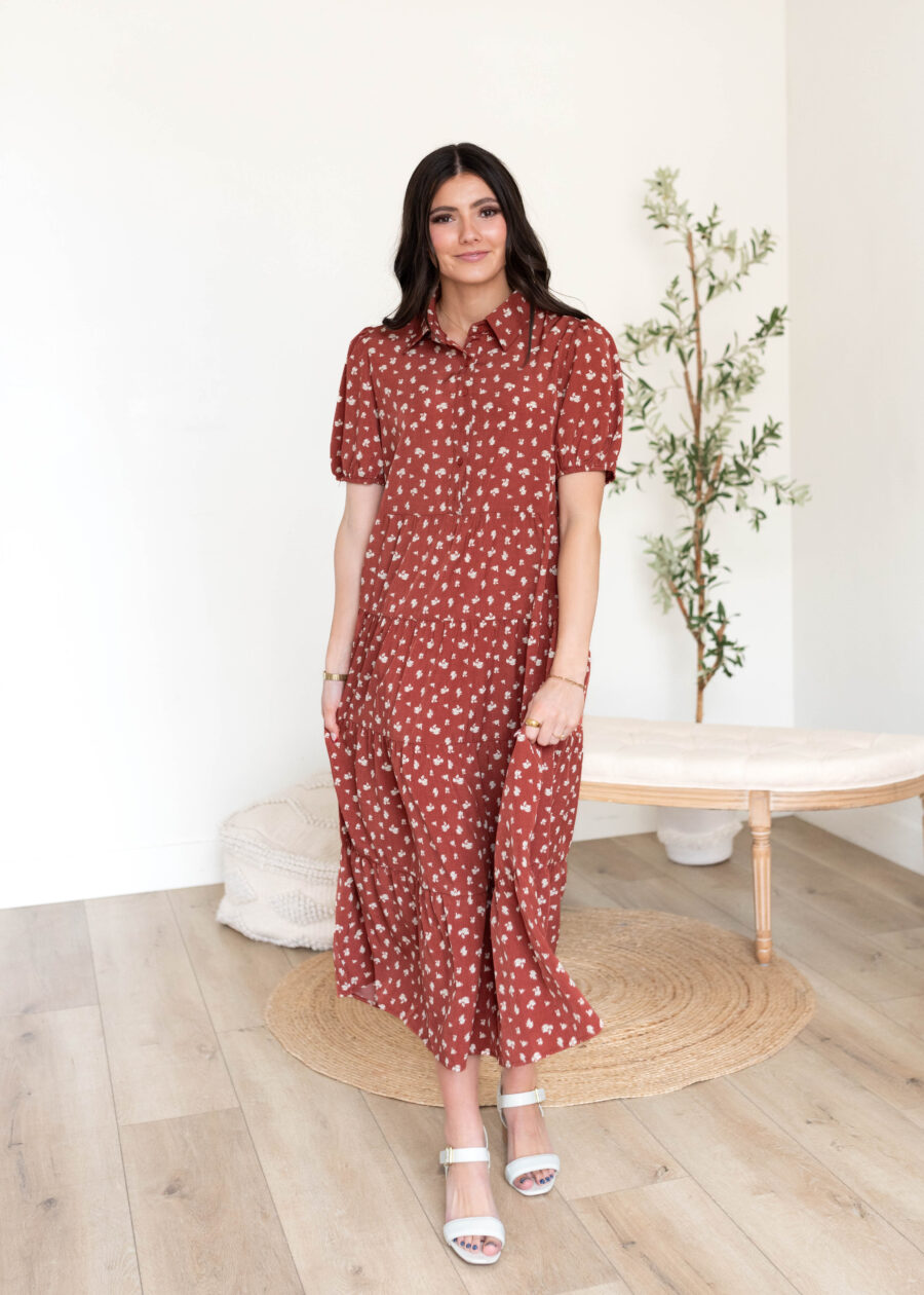 DSC2327.jpg Phoebe Terracotta Collared Dress