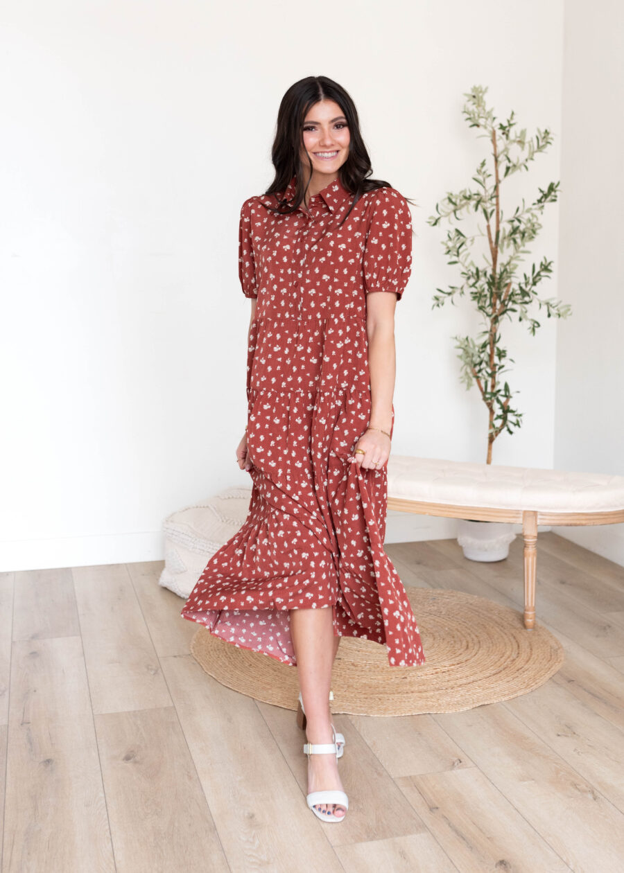 DSC2329.jpg Phoebe Terracotta Collared Dress