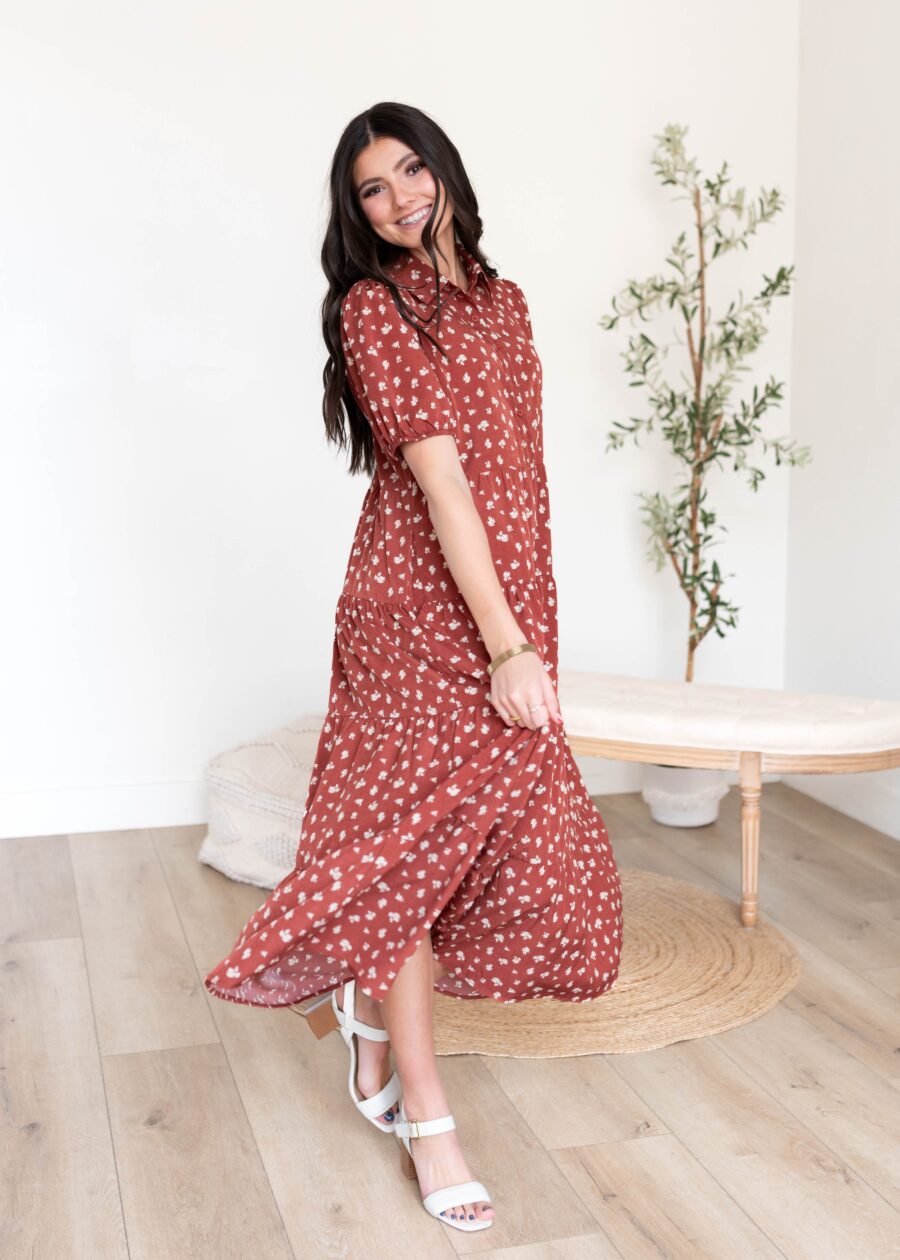 DSC2330.jpg Phoebe Terracotta Collared Dress