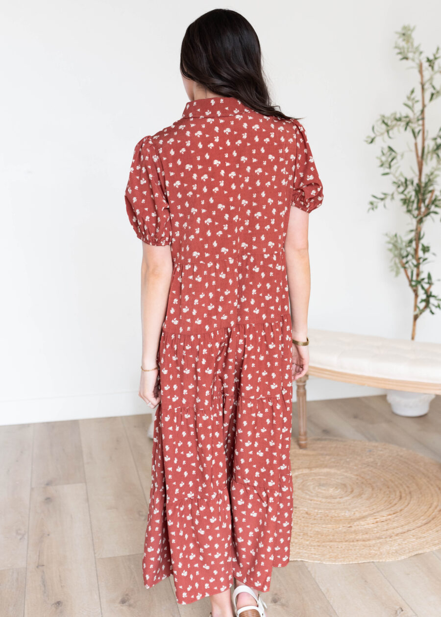 DSC2346.jpg Phoebe Terracotta Collared Dress