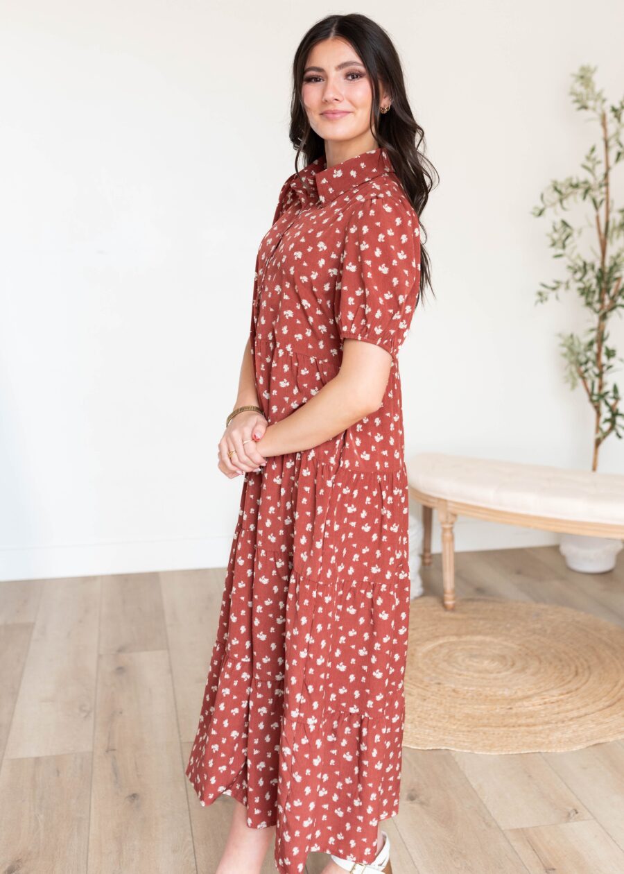 DSC2354.jpg Phoebe Terracotta Collared Dress