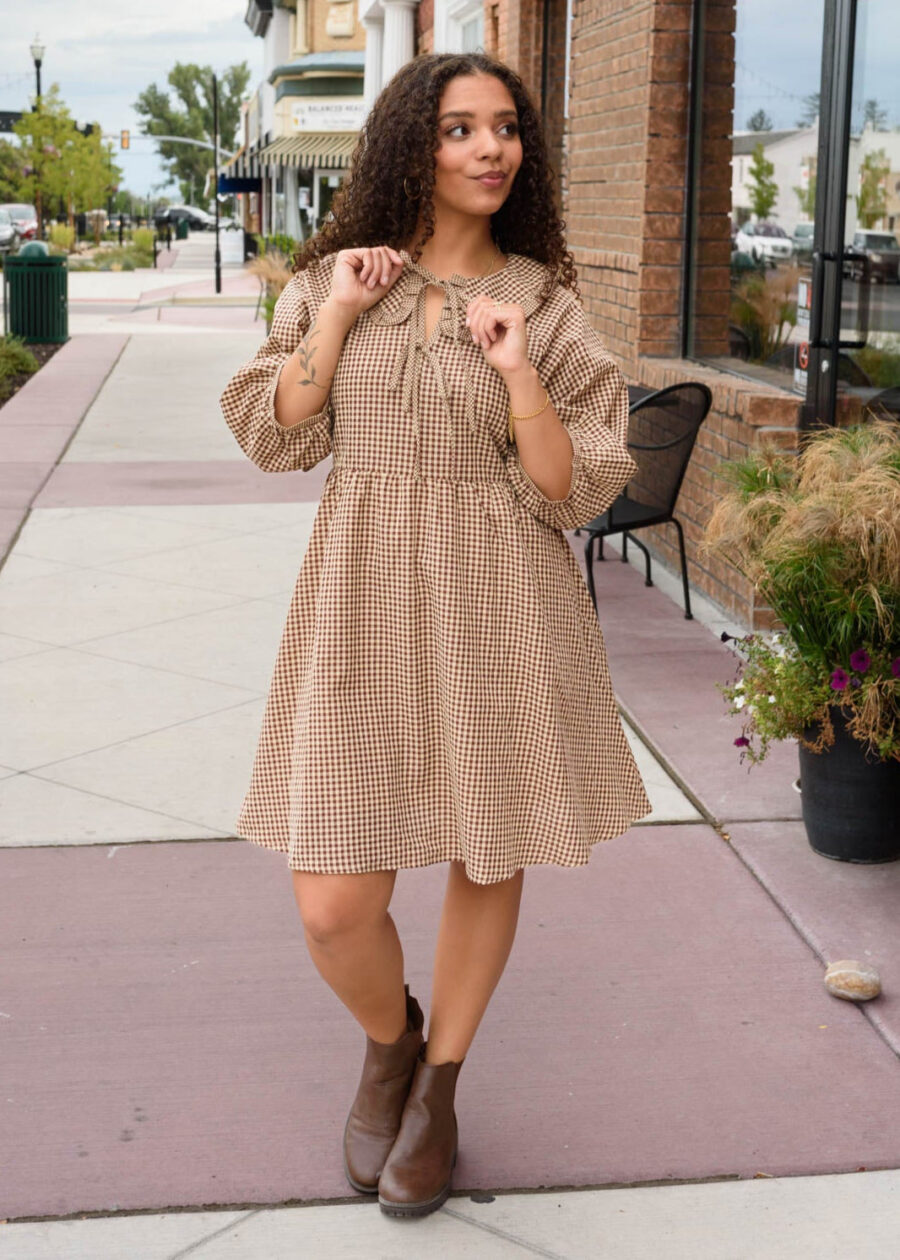 DSC6816.jpg Penelope Brown Gingham Dress