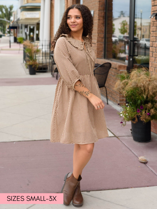 PenelopeBrownGinghamDress.png Penelope Brown Gingham Dress