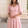 Robin Blush Floral Textured Dress