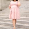 Robin Blush Floral Textured Dress