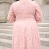 Robin Blush Floral Textured Dress