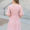 Robin Blush Floral Textured Dress