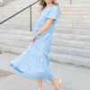 Rosa Blue Floral Dress